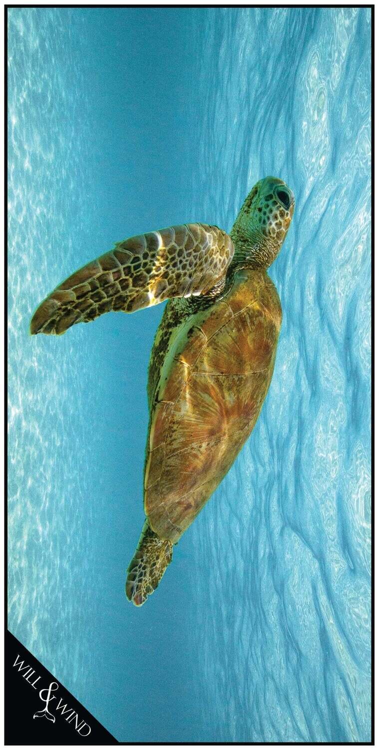 Green Sea Turtle Travel Towel