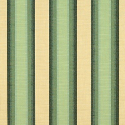 Sunbrella® Awning / Marine
46&quot; Colonnade Juniper 4856-0000