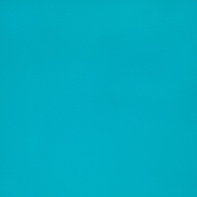Sunbrella® Horizon® Capriccio Marine Vinyl 54&quot; Aruba 10200-0022