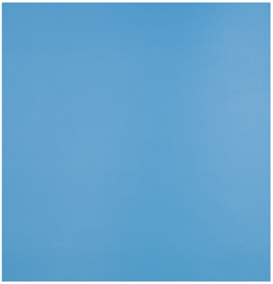 Sunbrella® Horizon® Capriccio Marine Vinyl
54&quot; Sky 10200-0019
