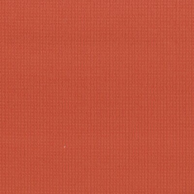 TEMPOTEST HOME LEONARDO ORANGE
