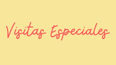 Visitas Especiales