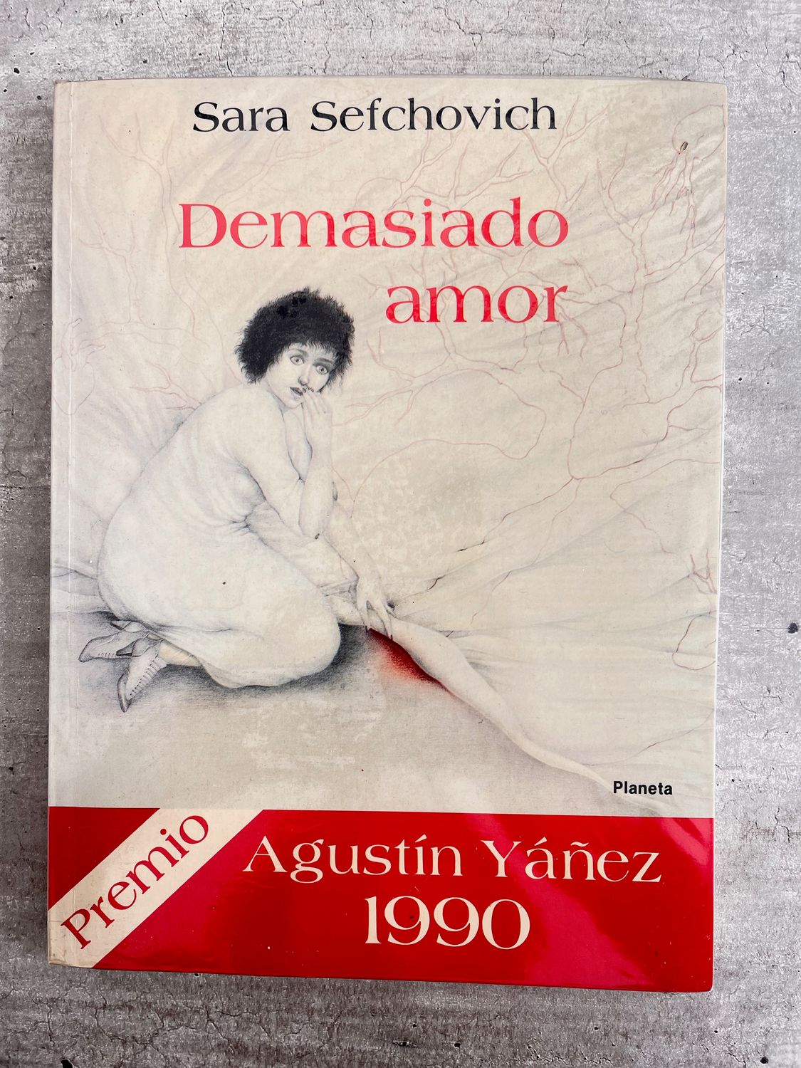 Demasiado Amor de Sara Sefchovich