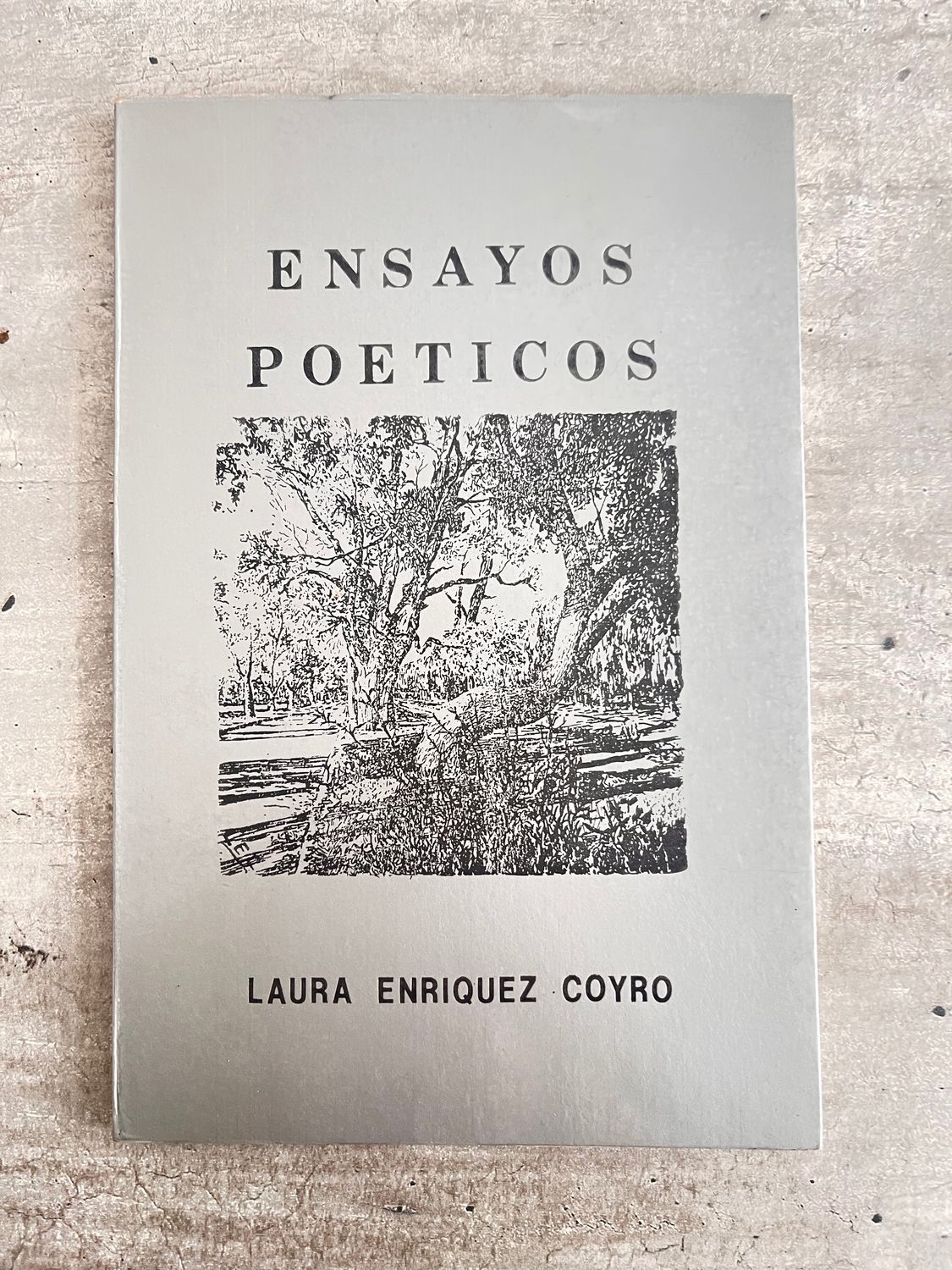 Ensayos Poéticos Laura Enriquez Coyro