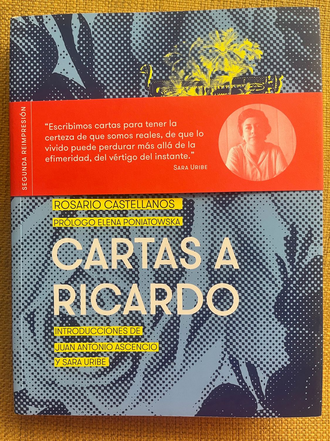 Cartas a Ricardo | Rosario Castellanos
