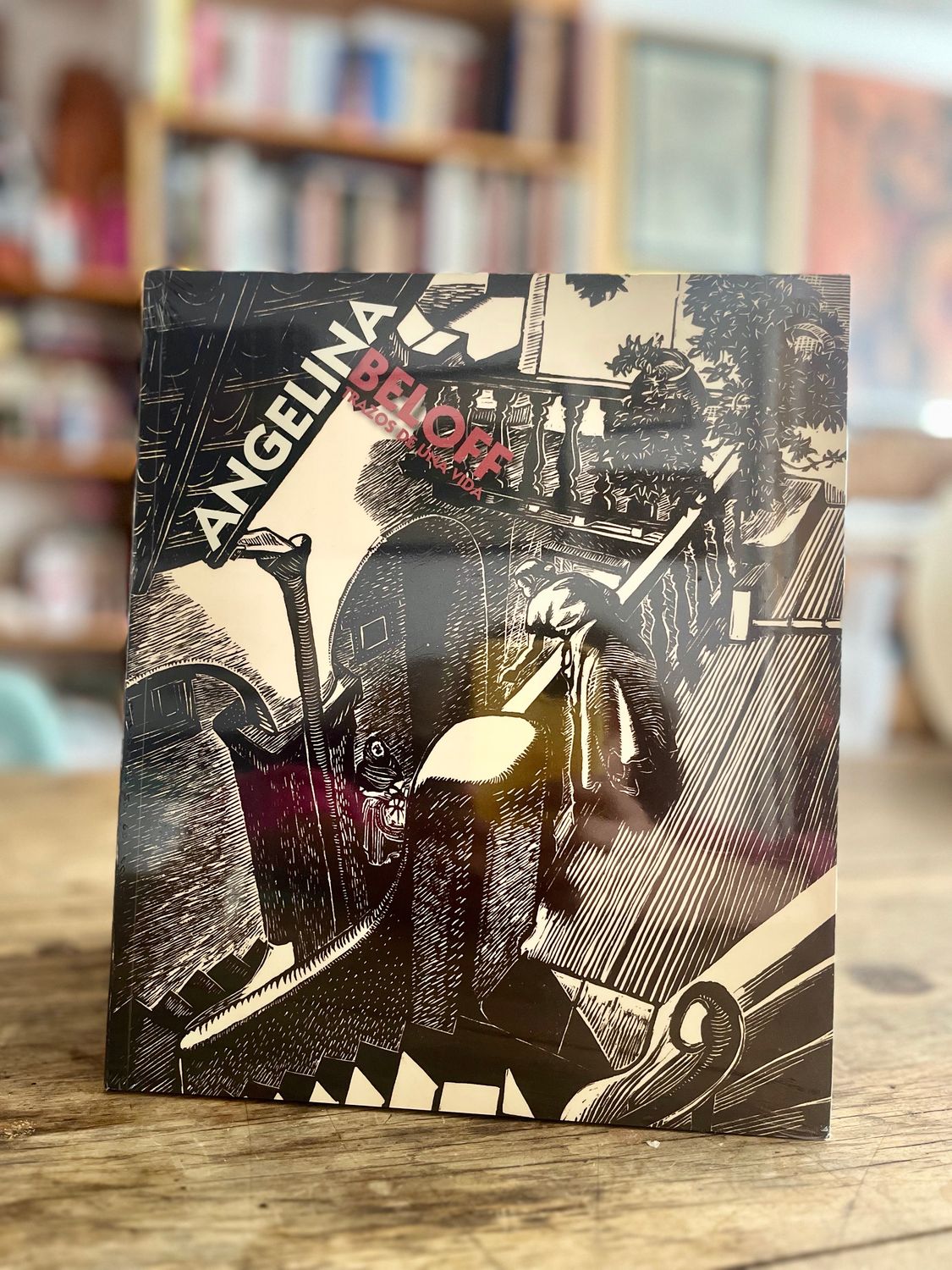 Catalogo: Angelina Beloff: Trazos de una vida