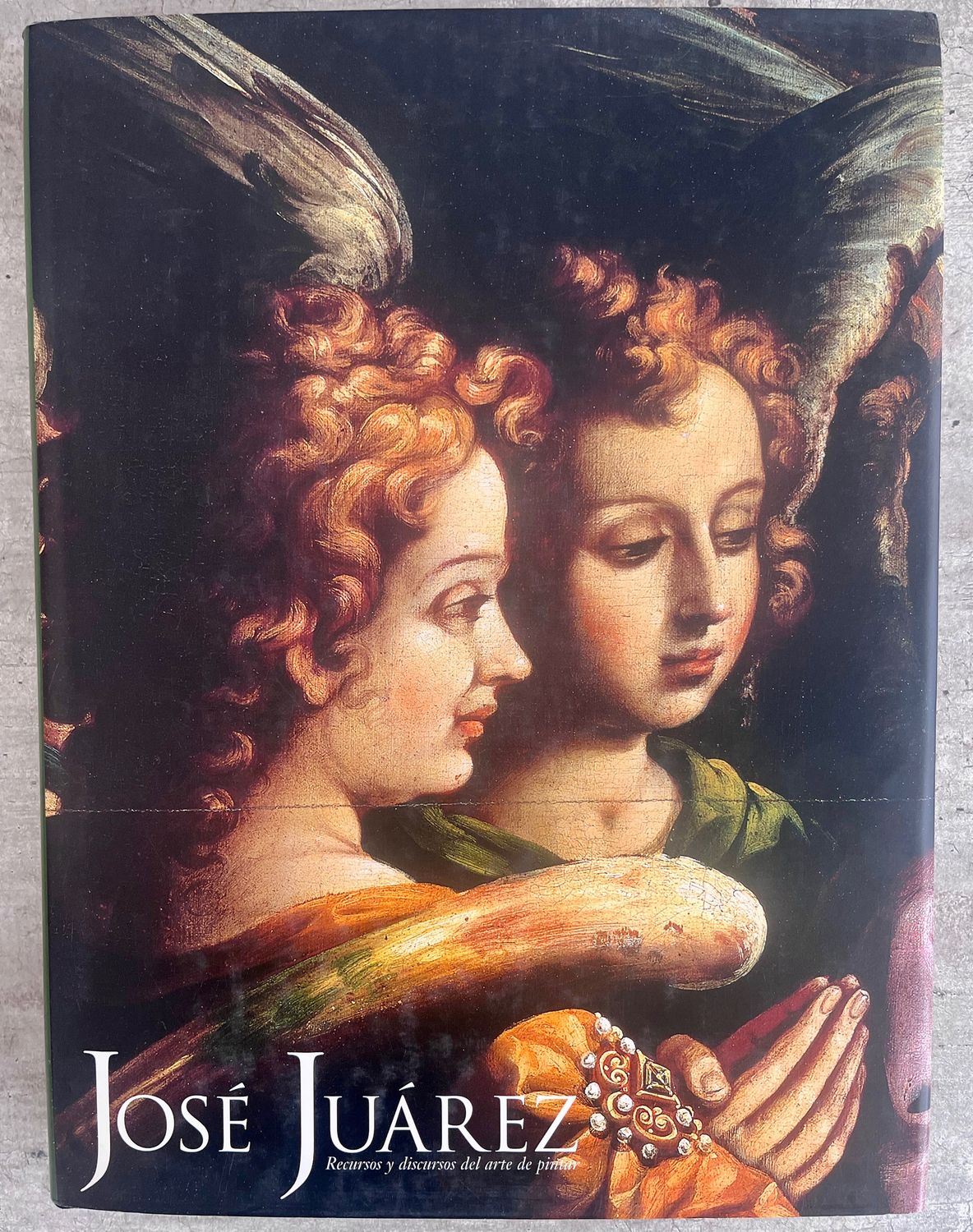 José Juárez. Recursos y discursos del arte de pintar MUNAL Museologando catalogo