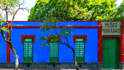 El Coyoacán de Frida Kahlo (Nacionales)