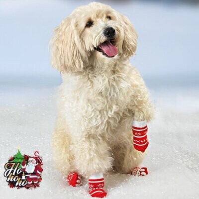 Tierbedarf - Hundesöckchen Weihachten Advent 4er Pack M Tierbedarf - Hundesöckchen Weihachten Advent 4er Pack M