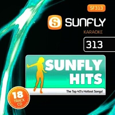 Sunfly Karaoke Hits CDG Vol 313 - Top 40 Karaoke Playbacks