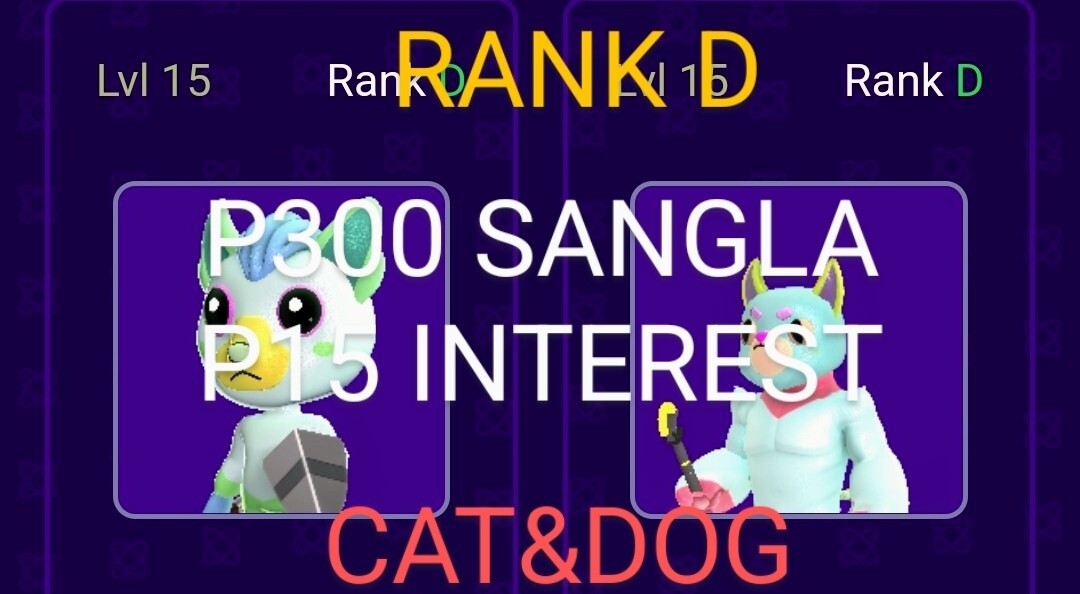 RANK D-CAT&amp;DOG