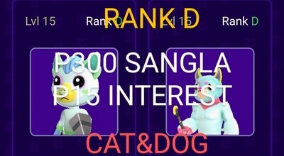 RANK D-CAT&amp;DOG