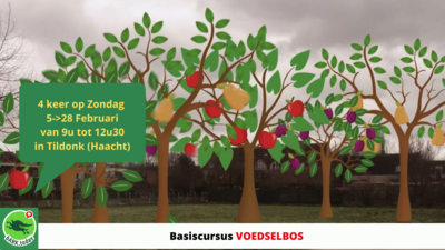 Basiscursus voedselbos voor beginners (4 lessen)