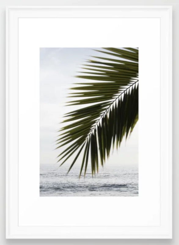 Beach Palm 24" x 36"