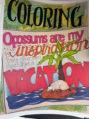 ‘Possums Are My Inspiration coloring book