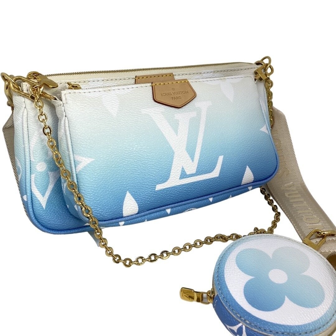 Louis Vuitton Multi Pochette