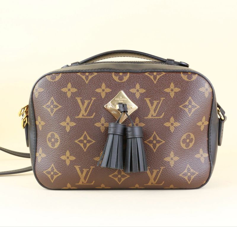 Louis Vuitton Saintonge Bag