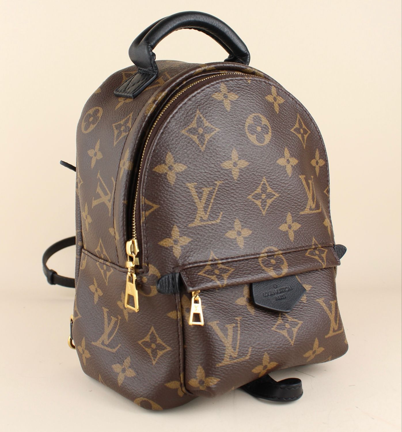 Palm Springs backpack PM