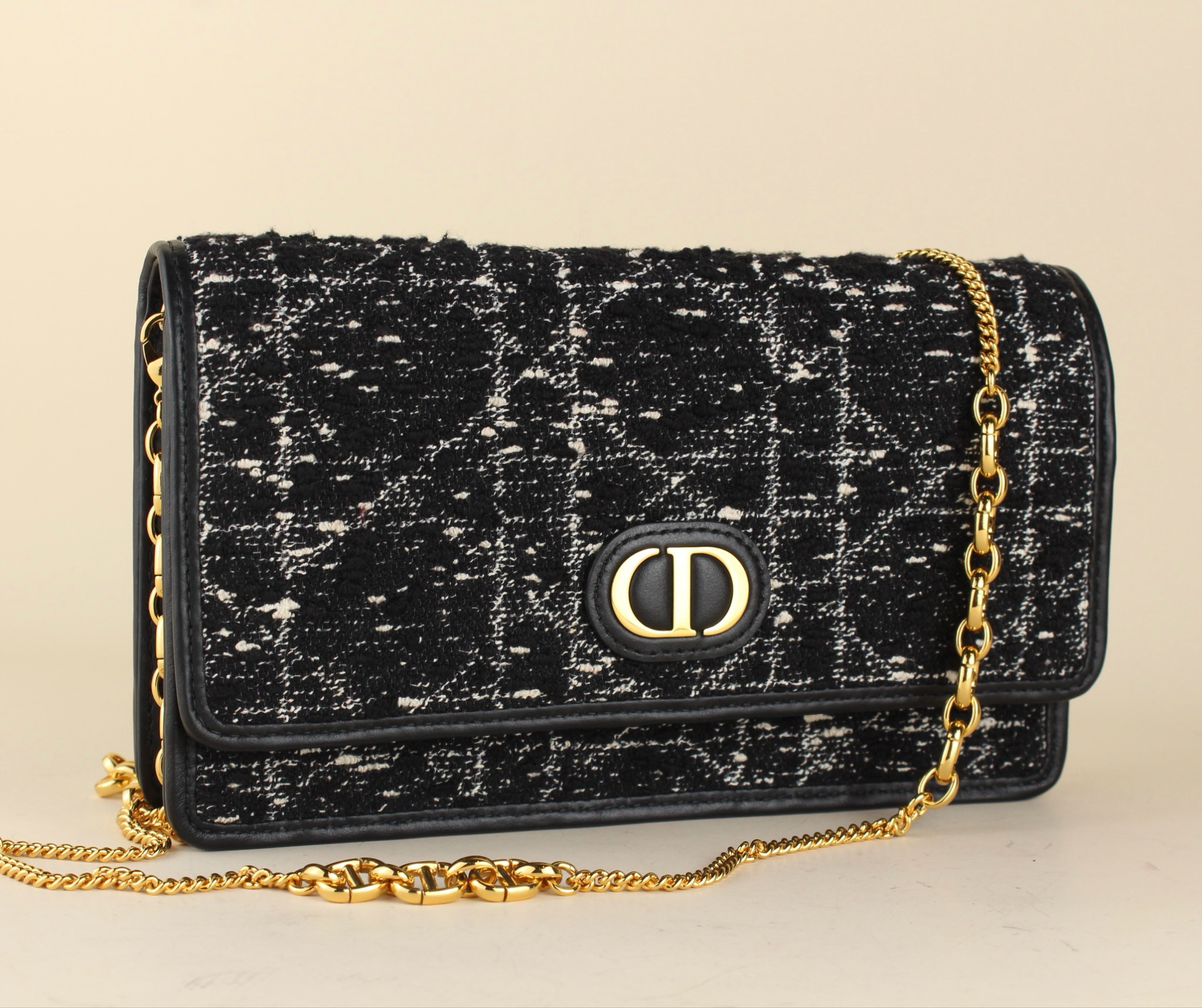 Dior Caro Pouch on Chain