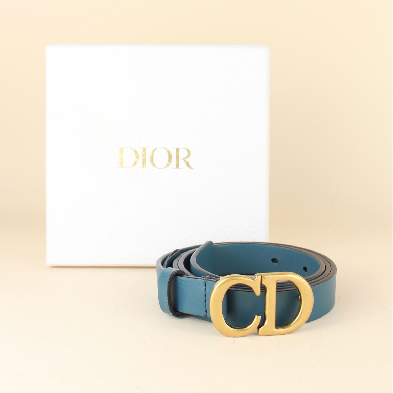 Dior Saddle belt