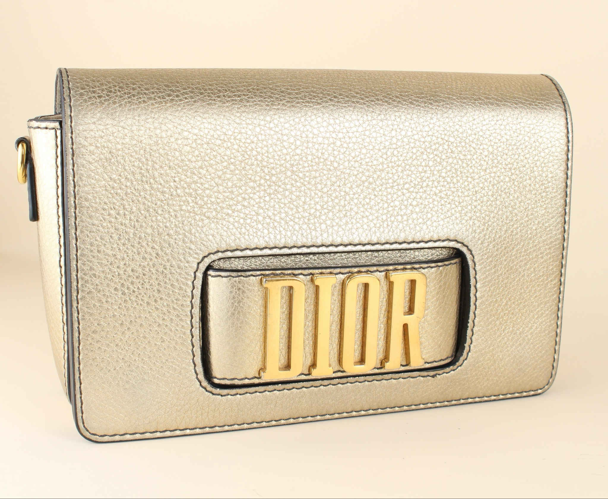 Dior Evolution Gold Leather