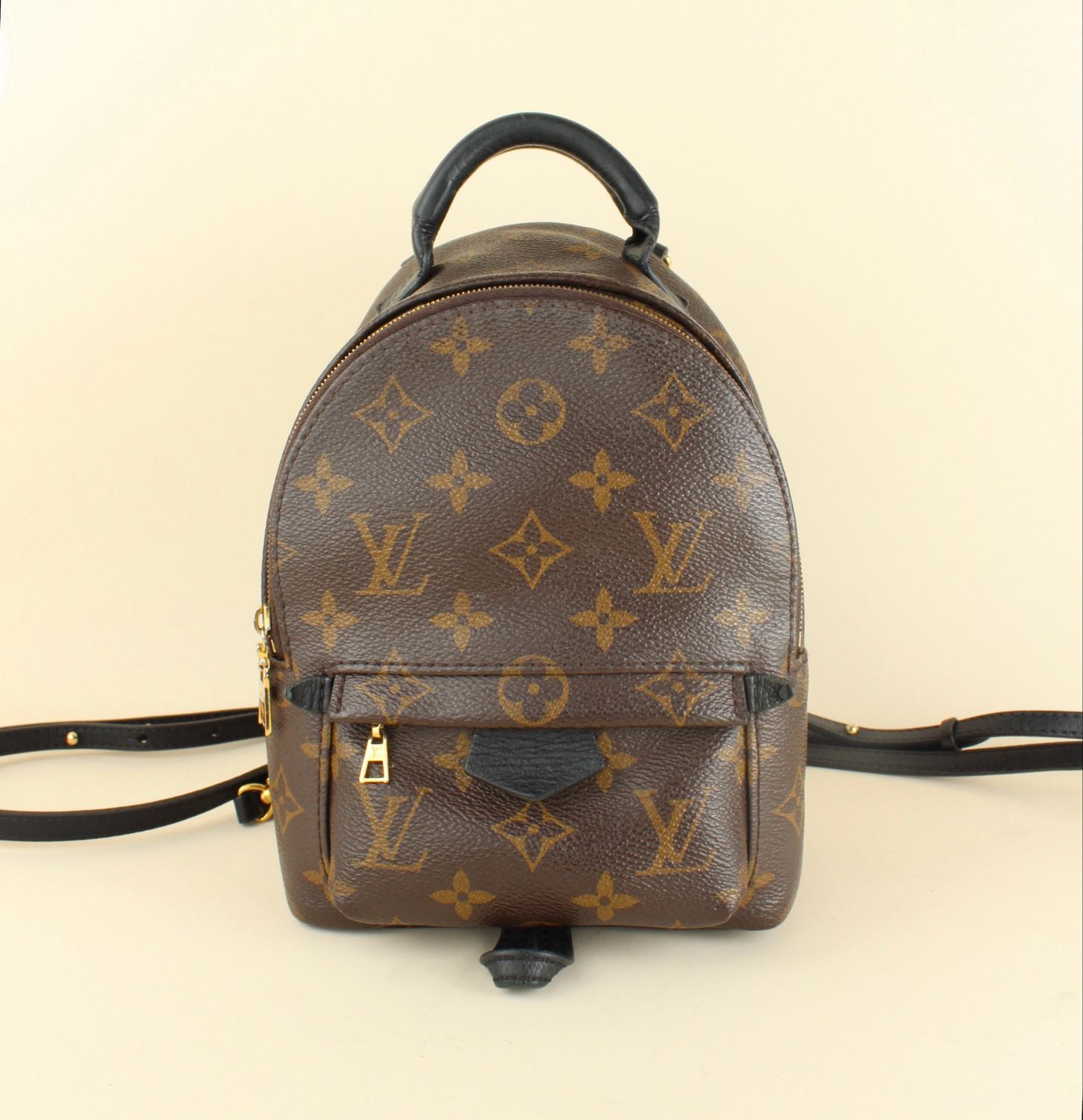 Palm Springs PM Backpack