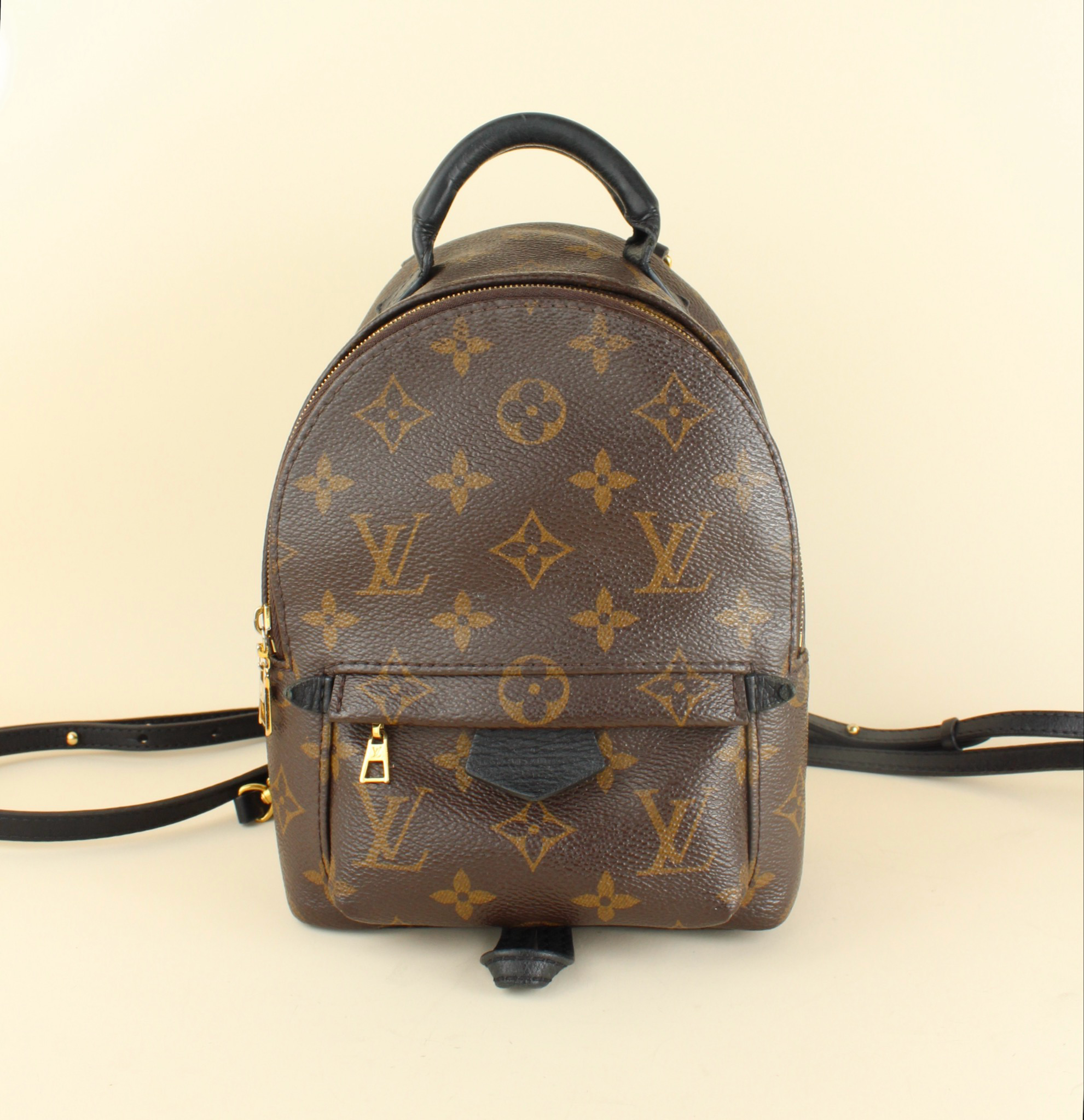 Palm Springs PM Backpack