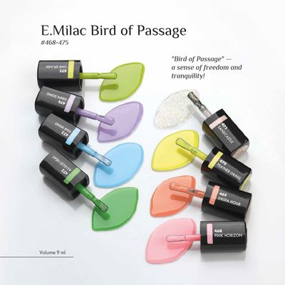 Collection Bird of Passage