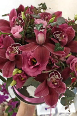 Luksuzni box orhideja