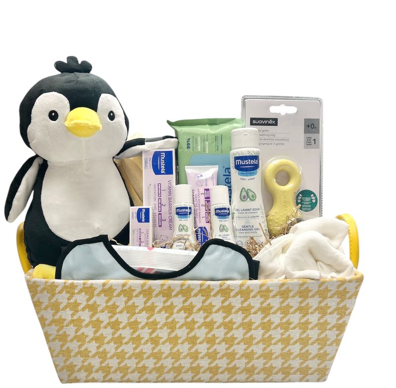 Cesa regalo bebé baby pingüino