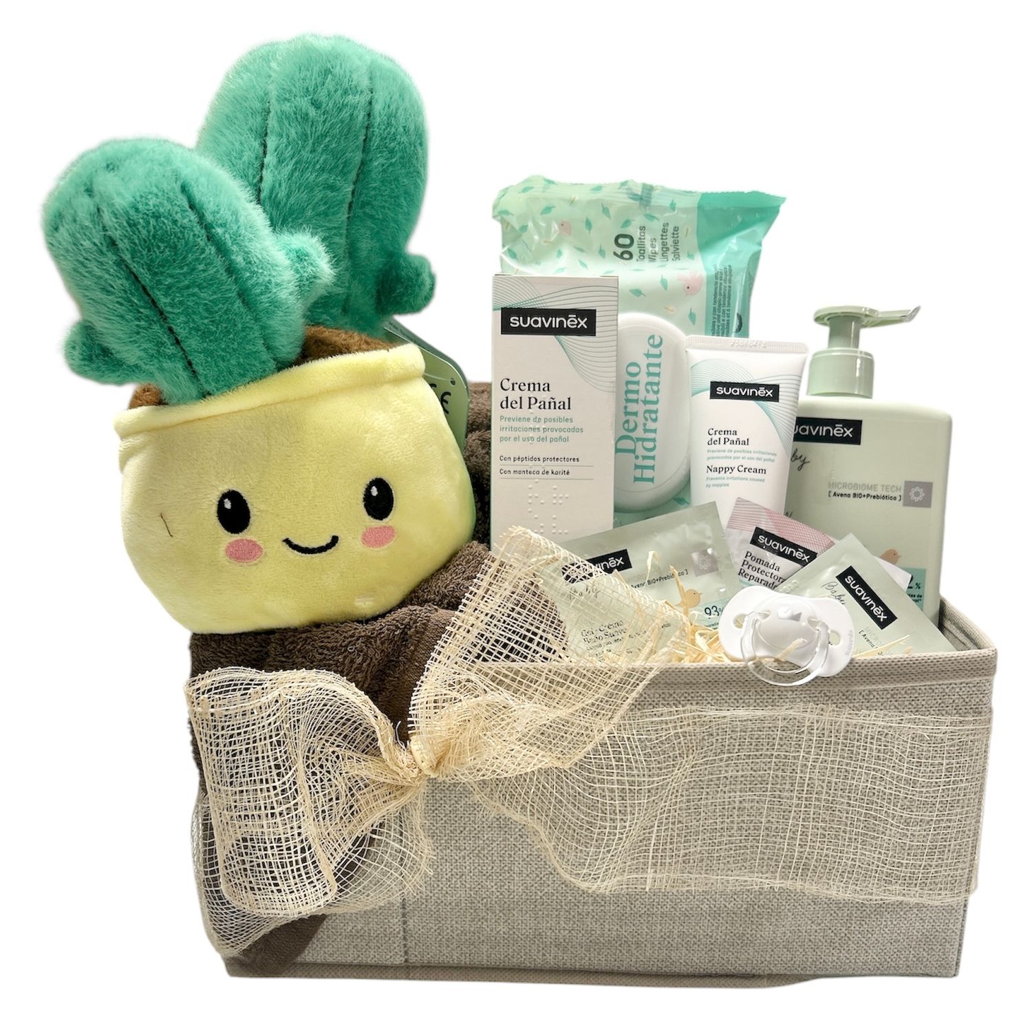 Cesta regalo nacimiento locura de cactus