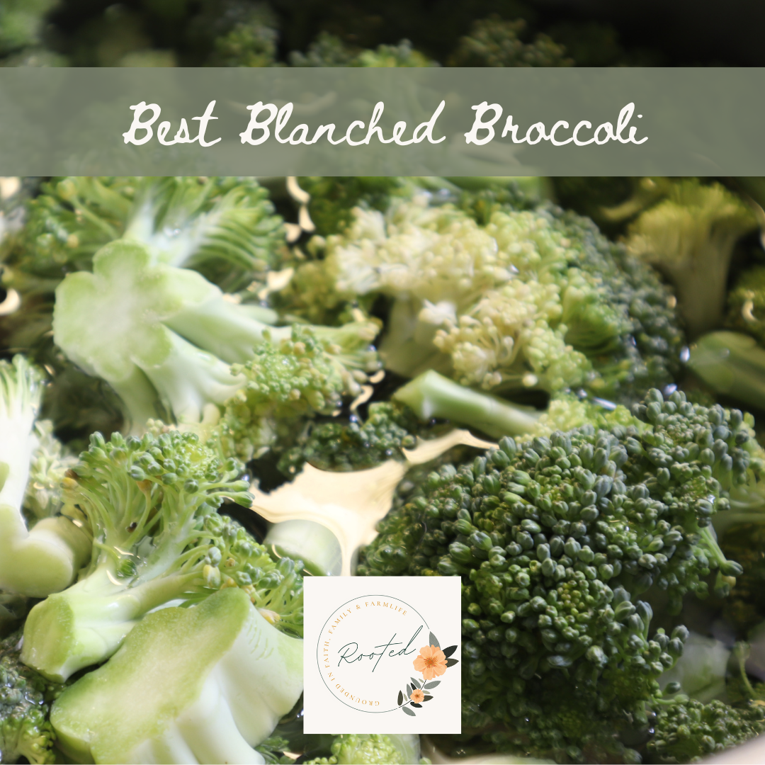 Blanched Broccoli Recipe Card