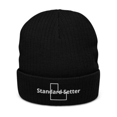 Recycled cuffed beanie
