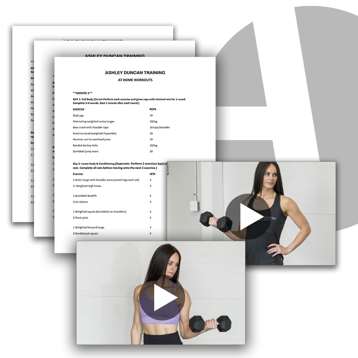 12 Week Online Workout Program