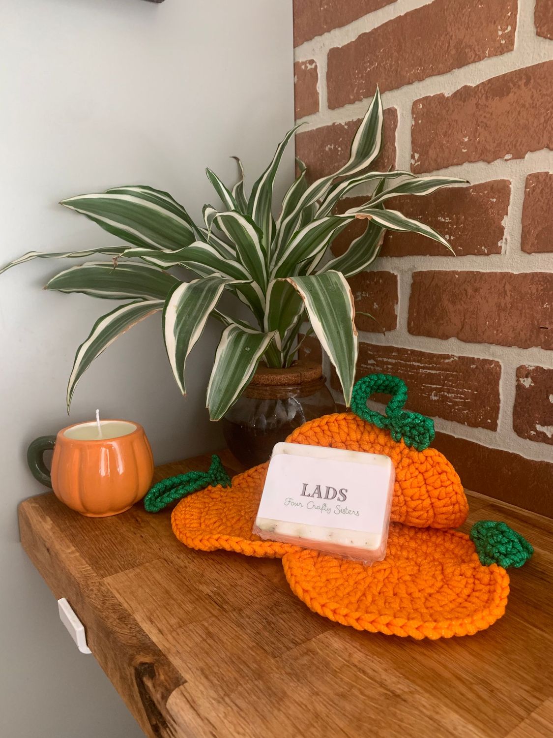 Pumpkin Scrubbies