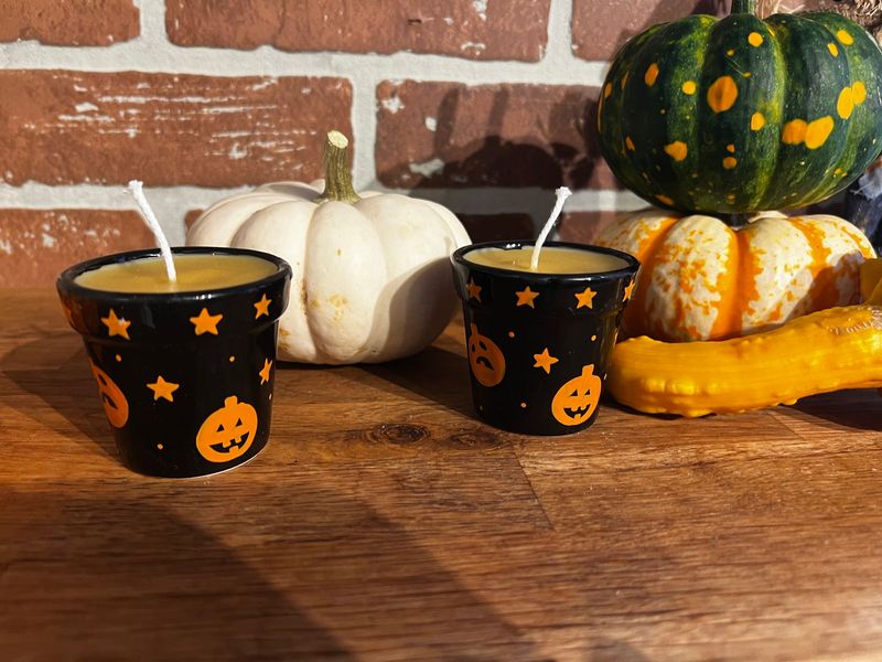 Halloween Flower Pots