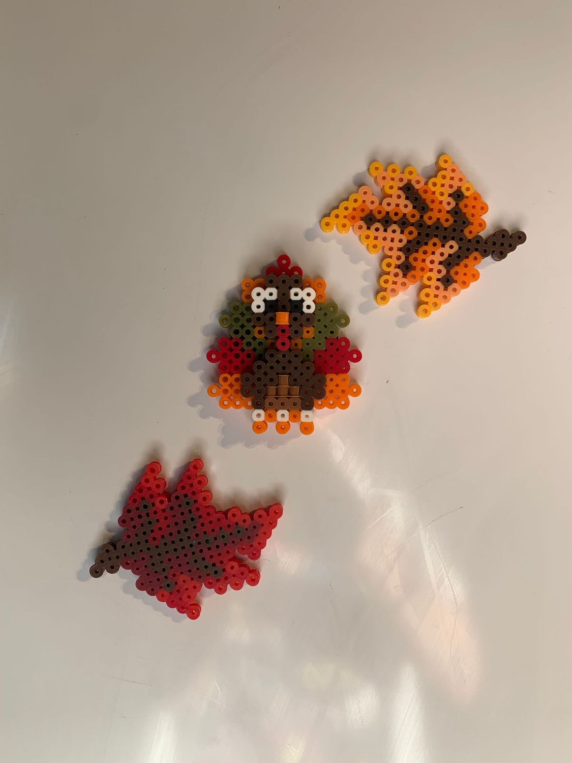 Turkey & Leaves Magnets Set