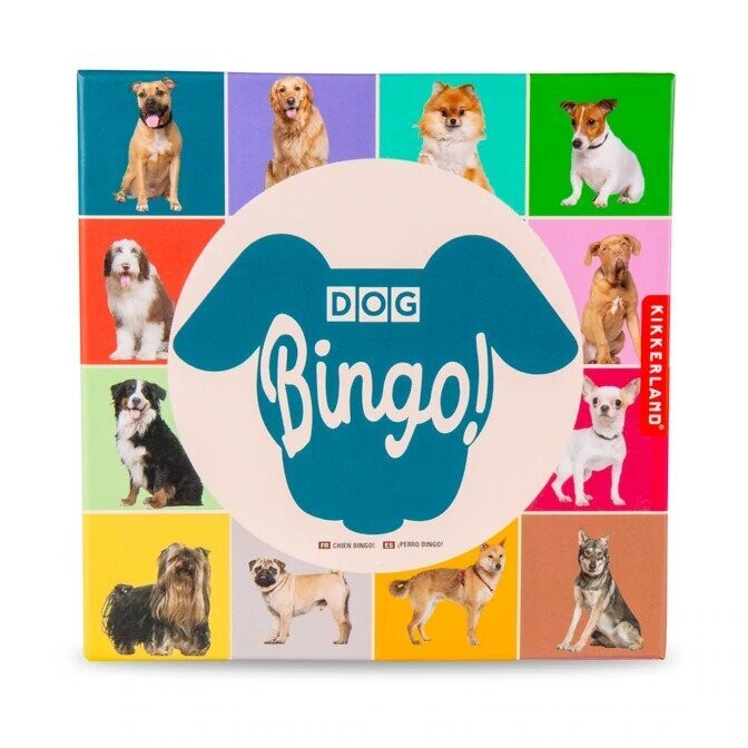 Bingo - honden