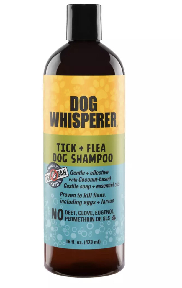 Dog Whisperer Tick And Flea Shampoo 16 Oz