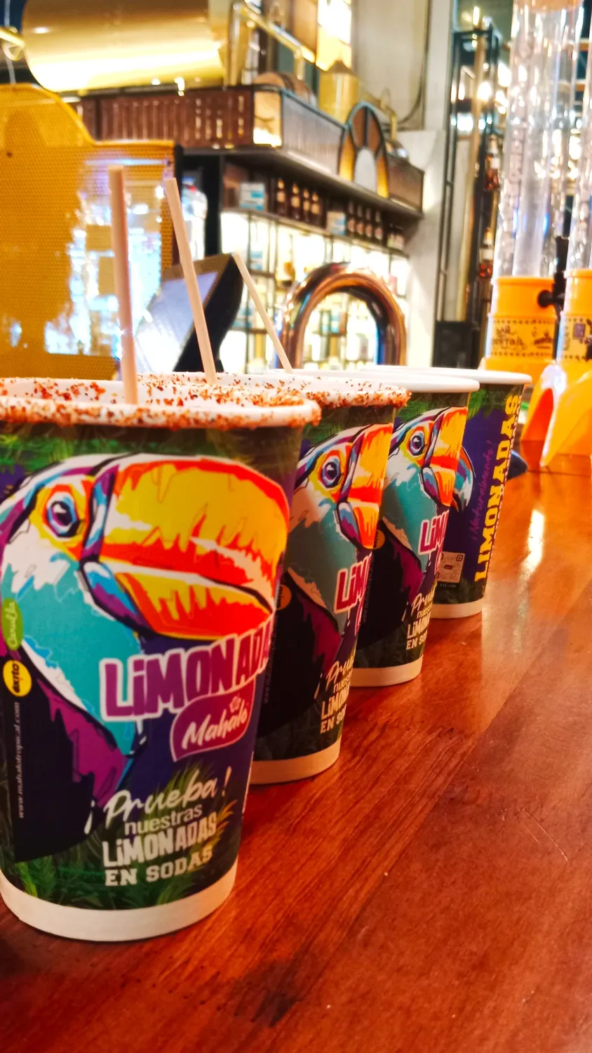 Limonadas Naturales Caja x 10 kilos