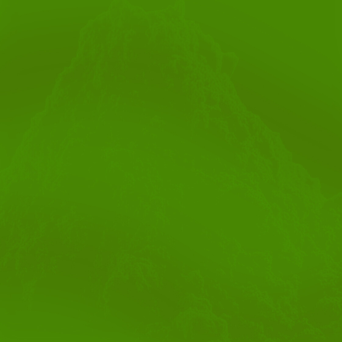 COLORANTE VEGETAL VERDE