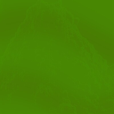 COLORANTE VEGETAL VERDE