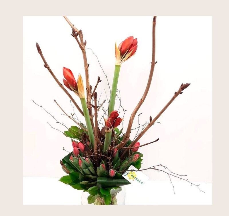 Bloemstuk met rode Amaryllis bij Althaea Bloemsierkunst