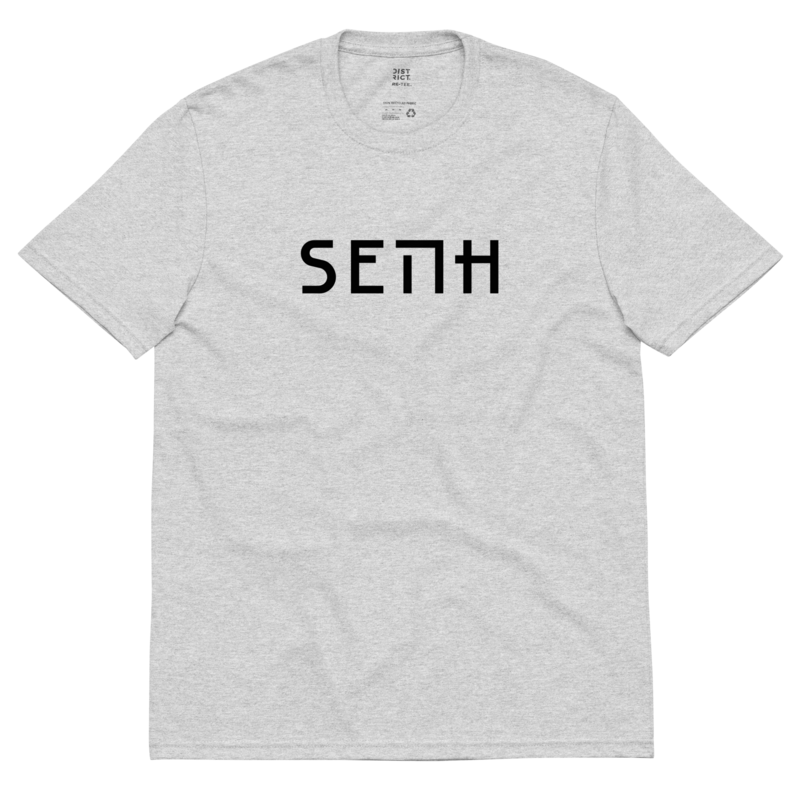 SEMH Unisex recycled t-shirt gray