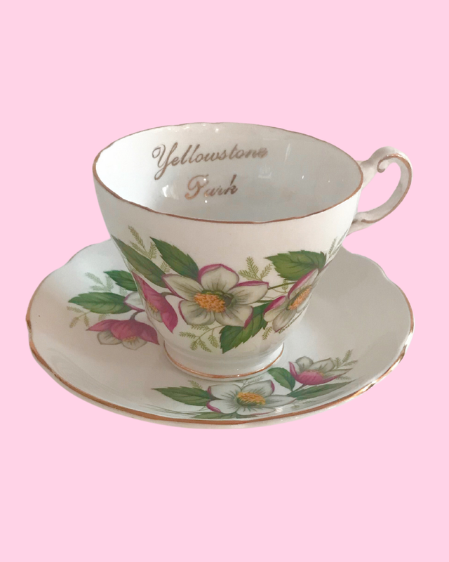 Vintage Regency English Bone China Yellowstone Tea Cup &amp; Saucer