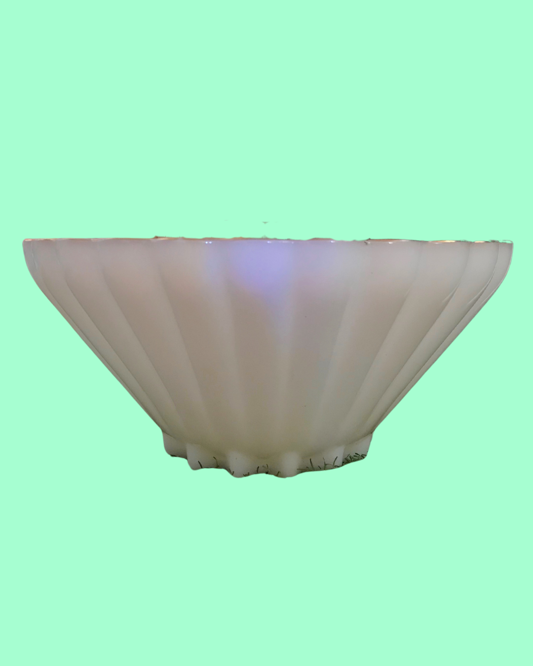 Collectible Glass Seashell Fruit Bowl