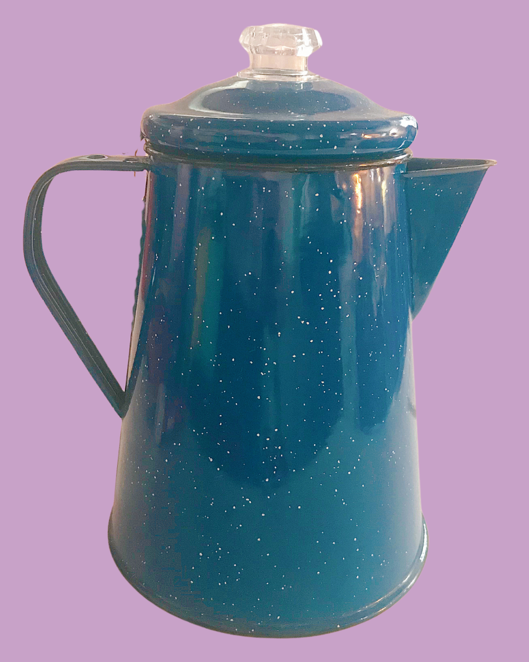 Blue Enamel Tea / Coffee Pot
