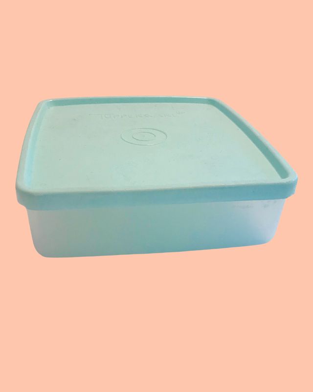 Vintage Tupperware Sandwich Box