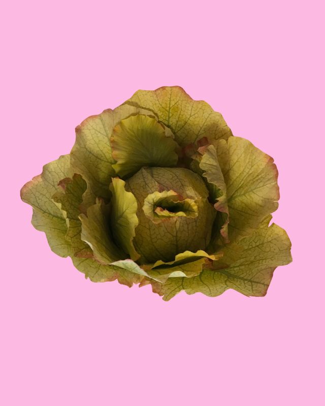 Artificial Lettuce