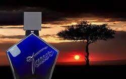 INCENSE EXTREME 50 ml edp